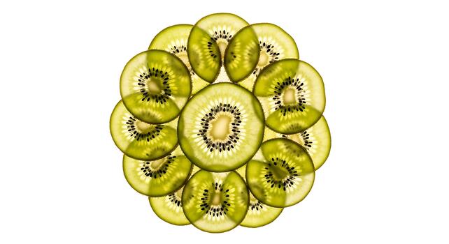 Backlit Kiwi Slices Arranged in a Circle Pattern on White Background photo