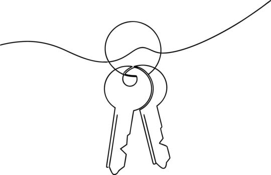 Two keys on a ring with a wavy line metal security vector