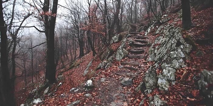 A rustic stone path winds up a steep hillside covered in colorful autumn leaves and bare trees on a cloudy day photo