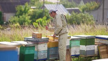 Male apiarist extracts half-frames from a hive working barehanded. Apiarist stacks the frames on the next beehive. Village in blur at backdrop. video