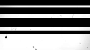 rojo y blanco color transición animación arreglado y se desvanece pulcramente video