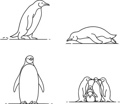 Four penguin illustrations in different poses isolated on white background vector