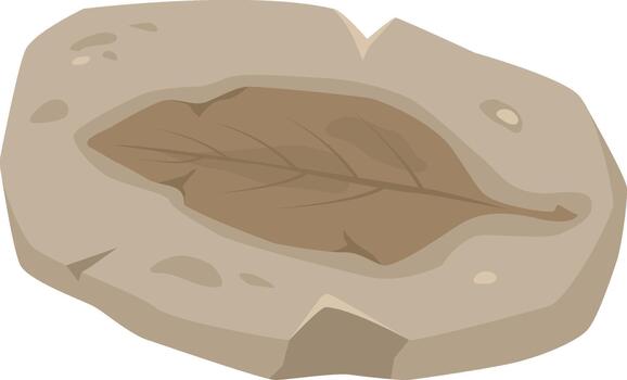 Ancient plant leaf fossil embedded in rock vector