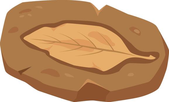 Fossilized leaf impression in rock documenting natural history vector