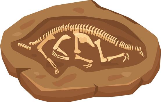 Dinosaur skeleton fossil remains embedded in rock vector