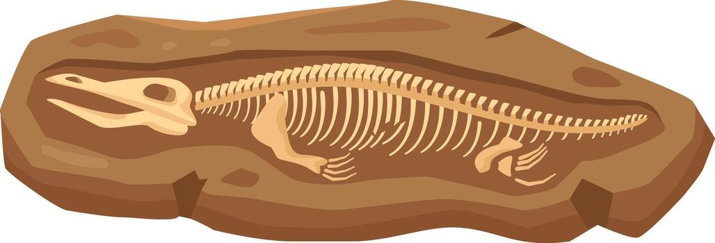 Animal fossil embedded in rock for paleontology study vector