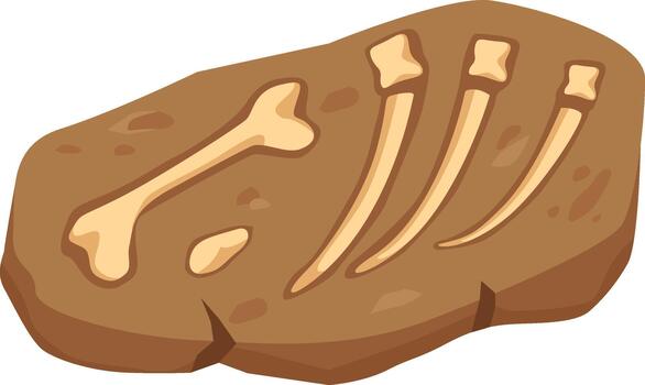 dinosaurio huesos fósil incrustado en rock vector