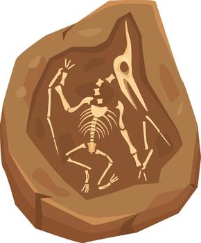 Pterodactyl skeleton fossil embedded in sedimentary rock vector