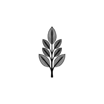 Minimalist outline illustration of a delicate branching botanical stem with multiple ovate leaves featuring precise internal parallel line detailing vector
