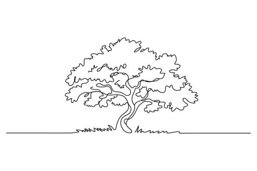 elegante soltero línea dibujo capturas el majestuoso formar de un lozano árbol con texturizado follaje y suelo detalle vector