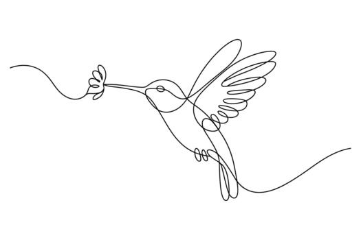 Elegant single line drawing captures a hummingbird in flight collecting nectar from a delicate flower vector