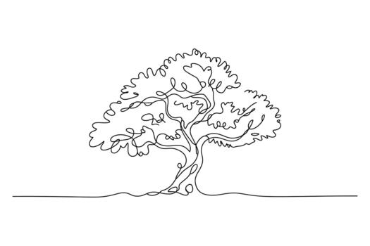 elegante soltero línea dibujo de un maduro caduco árbol con un lleno pabellón y texturizado ladrar en un blanco antecedentes vector