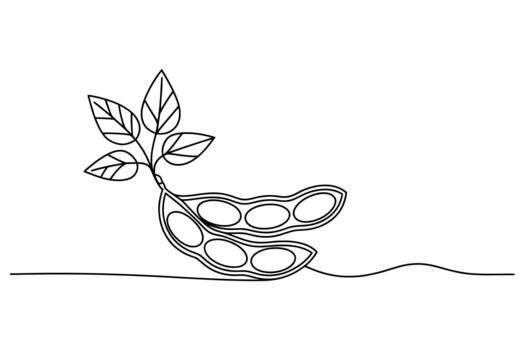 Minimalist continuous line drawing of a soybean plant with pods and leaves on a white background vector