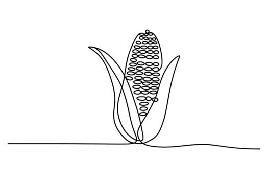 Minimalist single line drawing of a ripe ear of corn with husks and kernels on a white background vector
