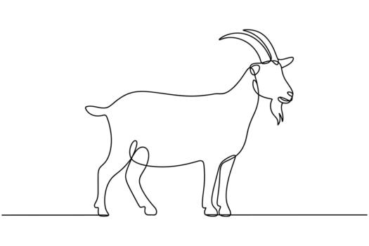 A simple line drawing of a standing goat with prominent horns and a beard vector