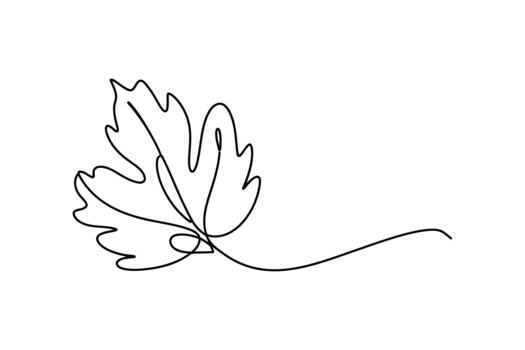 Elegant single line drawing of a delicate autumn leaf with a flowing stem on a white background vector