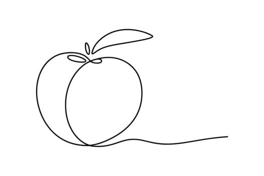 Minimalist single line drawing of a fresh peach with a stem and leaf on a white background vector