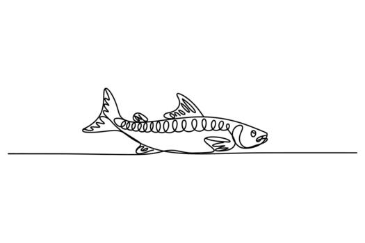 Whimsical hand drawn sketch of a fish with intricate patterns and a single line horizon vector