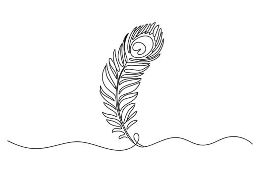 Elegant single line drawing of a delicate peacock feather with intricate eye detail resting on a wavy line vector