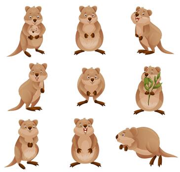 Funny Quokka as Short-tailed Scrub Wallaby with Rounded Ears in Different Pose Set vector