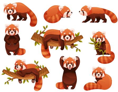 Adorable Red Panda as Small Fluffy Mammal with Dense Reddish-brown Fur and Ringed Tail in Different Pose Set vector