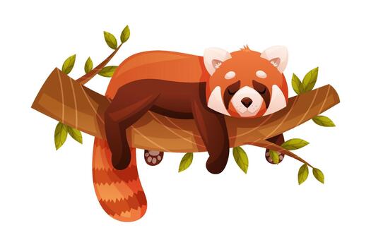 Adorable Red Panda as Small Fluffy Mammal with Dense Reddish-brown Fur and Ringed Tail Lying on Tree Branch Illustration vector