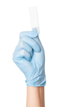 mano en médico guantes participación un vacío microscopio diapositiva en un vacío antecedentes. laboratorio usar, científico análisis, cuidado de la salud aplicaciones png