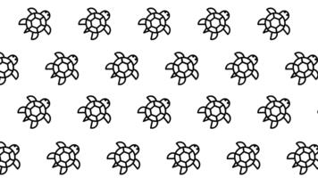un' armonioso modello di tartarughe disposte nel un' ripetendo formazione, evidenziazione loro conchiglie e dolce forme nel un' calma, decorativo natura design video