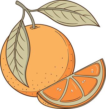 brillante naranja Fruta con hoja y rebanado segmento, Fresco agrios para comida y salud usos vector