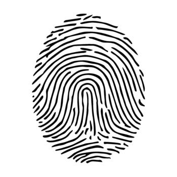 Detailed Hand drawn Fingerprint Identity Authentication Security Data Privacy Icon vector