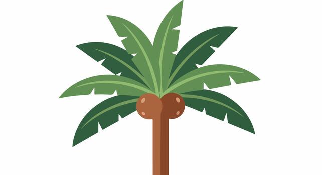 Stylized Palm Tree with Coconuts Illustration vector
