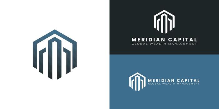 The central bars symbolize growth and capital management. They are surrounded by a robust hexagonal shield that provides protection and structure. This modern geometric design represents global wealth vector