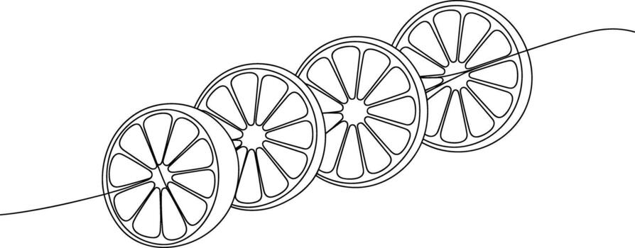 Four Sliced Oranges in a Row Line Art fruit citrus vector