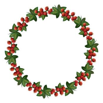 Red currant wreath frame with fresh vector