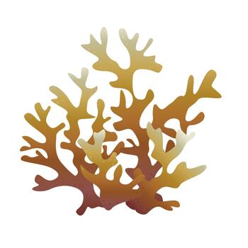 Algae. Underwater flora in the gradient. Can be used environmental projects, promotional materials, textbooks, logos and branding vector