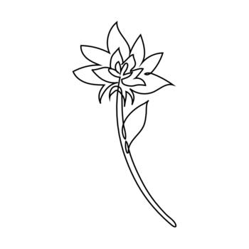 A flower with a stem and leaf - one continuous line. Minimalistic flower drawing vector