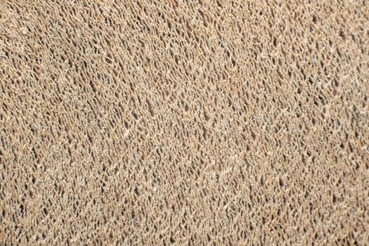 Toilet paper texture macro roll layers cardboard pattern background. photo