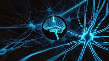 Animating Neural Network with Human Brain Representation in Conceptual Scientific Visual video