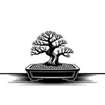 Stylized silhouette of a miniature twisted bonsai tree in a rectangular pot filled with pebbles vector