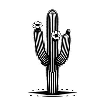 Stark illustration of a Saguaro cactus in full bloom with delicate flowers and a hint of desert ground beneath it vector