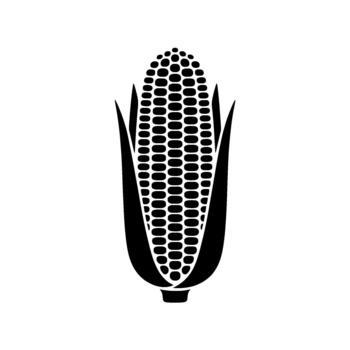 A stark minimalist silhouette of a single ear of corn with husks peeled back revealing rows of kernels isolated vector