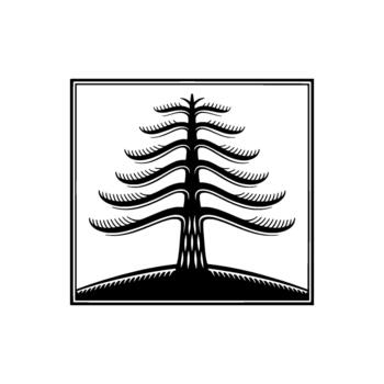 Stylized illustration of a solitary pine tree with layered branches and a textured base vector