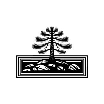 estilizado silueta de un sorprendentes araucaria árbol con únicamente conformado ramas encaramado encima escabroso rocas dentro un decorativo rectangular marco aislado vector