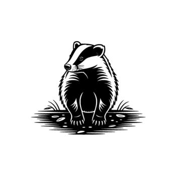 Striking illustration of a European badger sitting alertly in naturalistic grass and pebbles rendered in a bold linocut style with clean lines and high contrast for a striking visual impact vector