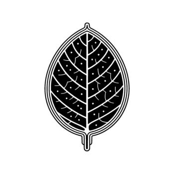A stylized monochrome representation of a detailed oval leaf shape with intricate internal vein patterns and small circular dots vector