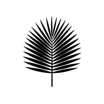 A bold and silhouette of a single tropical palm frond with distinct sharp edges casting a subtle shadow vector