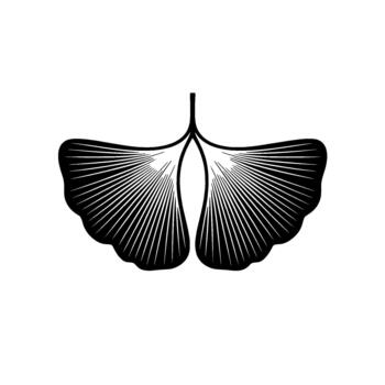 Striking abstract ginkgo leaf silhouette with radial lines creating a fan effect vector