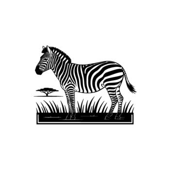 Minimalist illustration of a solitary zebra standing in stylized savanna grass with an acacia tree silhouette in the background isolated vector