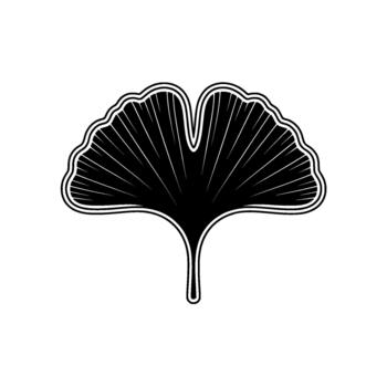 A stylized illustration of a single ginkgo leaf with radiating lines and a double outline vector