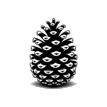 Highly detailed illustration of a single pinecone rendered with strong contrast and subtle shading effects creating a classic woodcut art style isolated vector